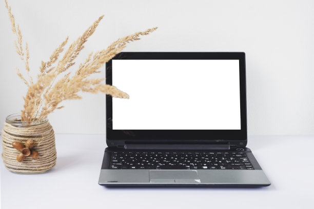 笔记本电脑，空白屏幕和花瓶里的干花。办公室工作区室内设计模板与复制空间。模拟了图片下载