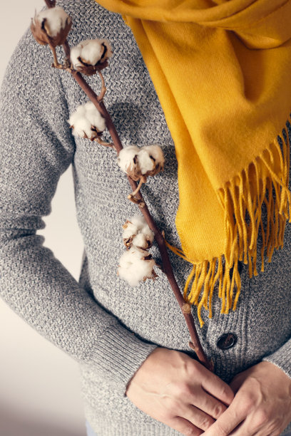 一个男人穿着灰色的开襟羊毛衫，围着一条鲜艳的围巾，站在那里，在浅色的背景上放着一根棉花树枝。图片下载