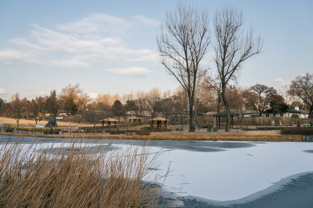 韩国首尔龙山家庭公园的冬天图片下载
