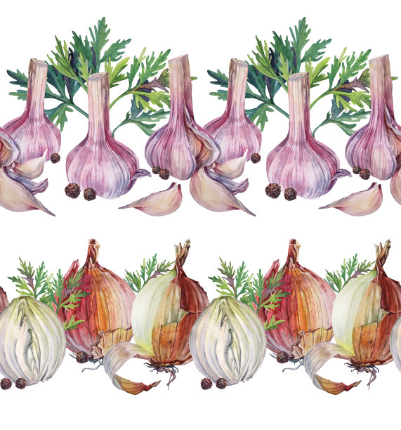 设置无缝边界水彩剥皮大蒜和洋葱孤立在白色背景。黑胡椒和绿叶小茴香。手绘丁香辣味调味品调味品蔬菜。艺术风味食品图片下载