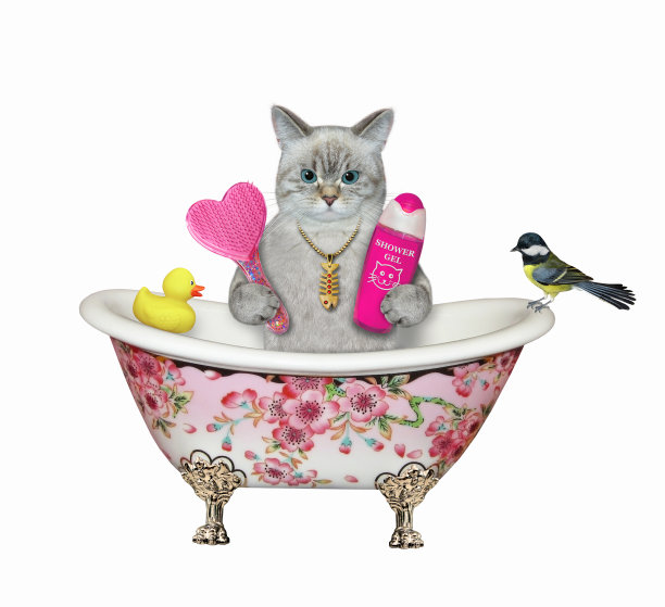 猫灰色与粉红色的发刷在时尚的浴缸图片下载