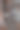 一只浣熊从人造树的树洞里探出头来图片下载