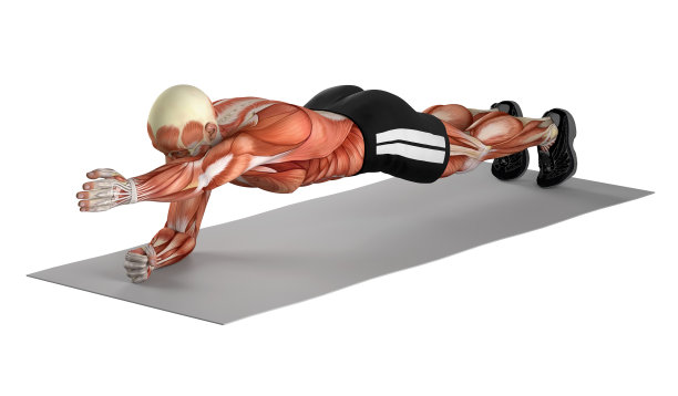 一个健康的人，做肘部平板支撑和手臂伸展运动的3D插图图片下载