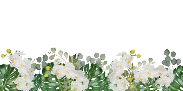 手绘热带植物的花朵和叶子。无缝线水平模式与水彩异国情调的绿色热带森林树叶和白色兰花，鸡蛋花在白色的背景。图片下载