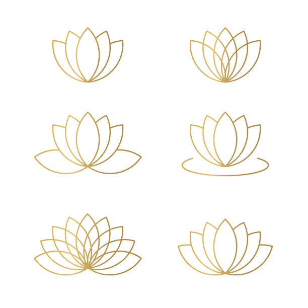 金荷花套图片下载