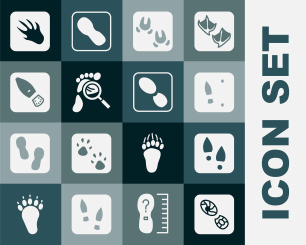 设置人的脚印鞋，野猪爪，放大镜与脚印，鳄鱼鳄鱼和图标。向量图片下载