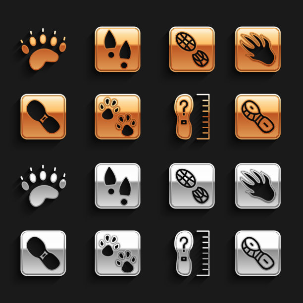 集爪印，鳄鱼鳄鱼脚印，人的脚印鞋，方尺尺寸，熊爪和图标。向量图片下载