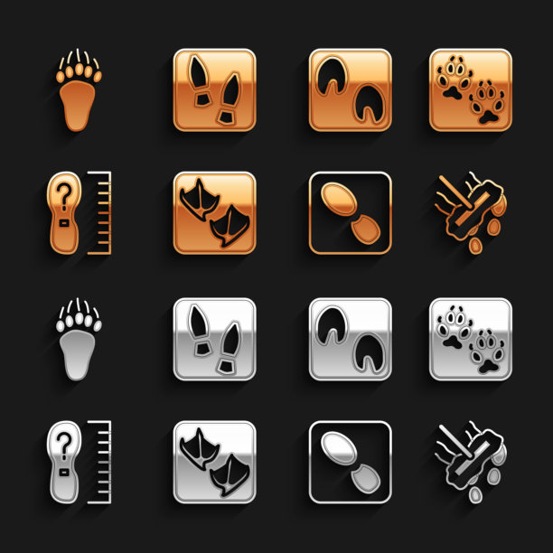 设置海鸥爪脚印，狐狸，拖把，人的脚印鞋，方尺尺寸，马，熊和图标。向量图片下载