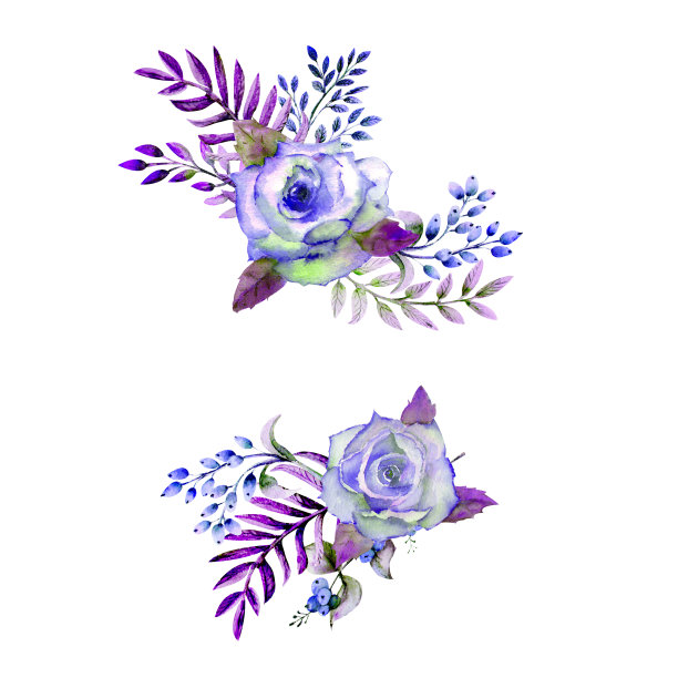 两束玫瑰，叶子，浆果，装饰的小树枝。婚礼概念与鲜花。为贺卡或请柬用蓝色调的水彩构图图片下载