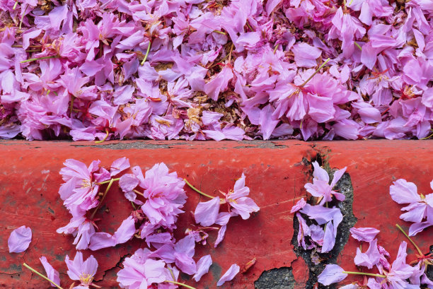 维多利亚,温哥华岛图片下载