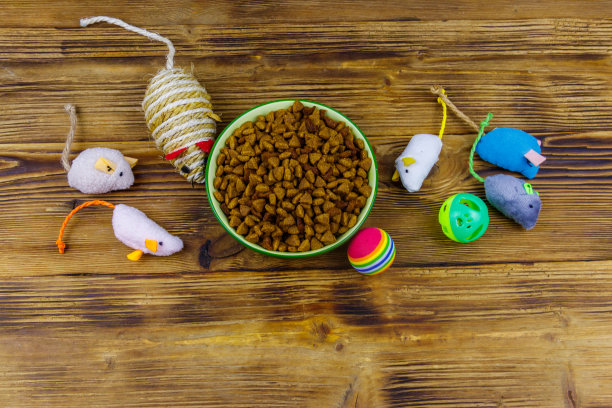 一套玩具猫和碗与干宠物食品在木制背景。前视图。宠物护理的概念图片下载