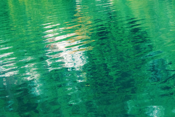 带有反射的自然绿色背景。图片下载