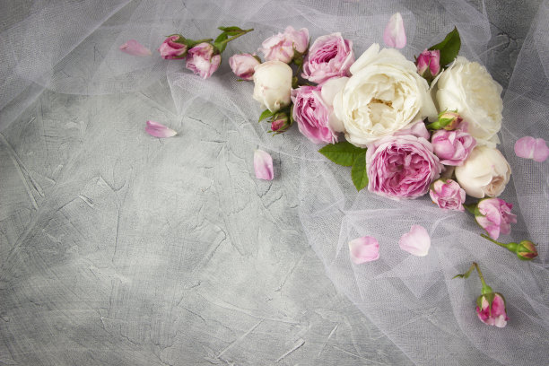 新娘面纱上的粉色和白色玫瑰，灰色混凝土背景。婚礼邀请的复古模板，生日，3月8日，妇女节，母亲节，情人节。空间的文本图片下载