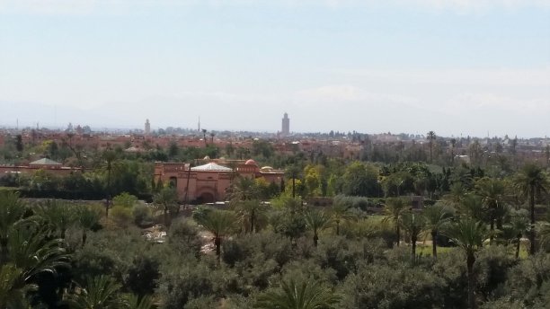 摩洛哥马拉喀什Palmeraie，背景是库图比亚的清真寺图片下载