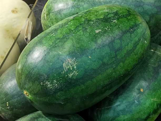 黑美人西瓜图片下载