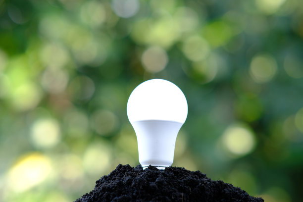 节能灯泡，节约世界理念，可持续发展。生态理念，绿色能源理念，能源可持续发展的生态元素，拯救世界理念，世界环境日图片下载