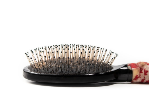 针刷宠物。关闭了。图片下载