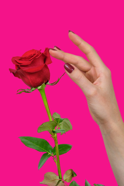 爱的触摸图片下载