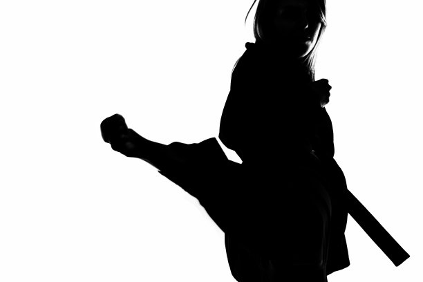 武术革命图片下载