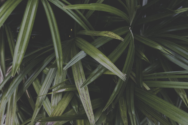 抽象/背景图片下载