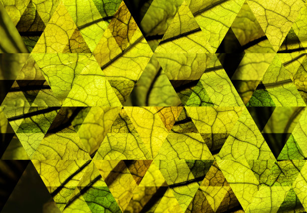 摘要几何背景:叶宏观图片下载