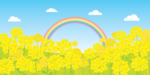 风景的背景是油菜花和天空。图片下载