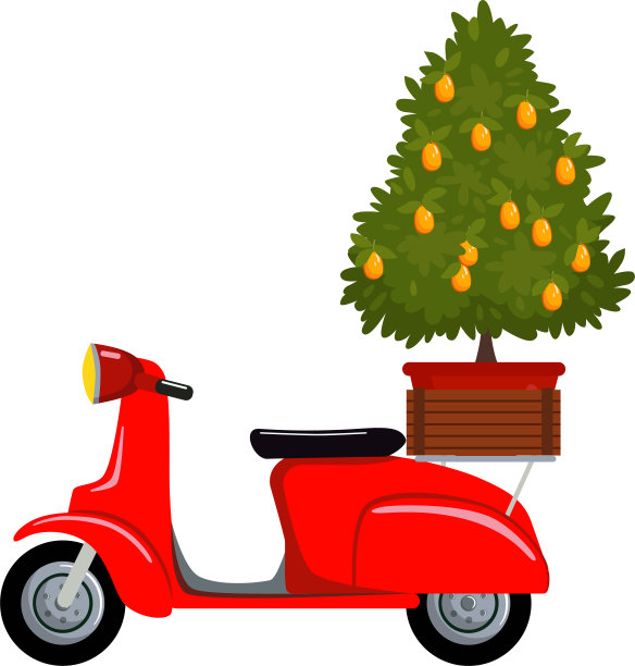 春节的红色复古滑板车和金橘树。图片下载