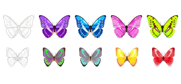 一套10蝴蝶与不同的颜色选择设计图片下载