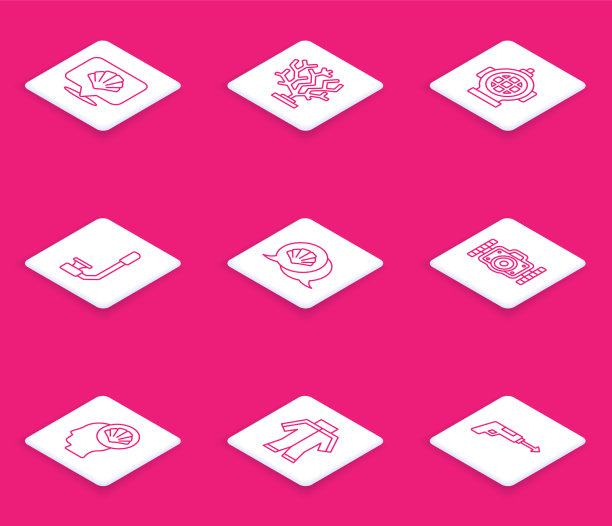 设置线扇贝海贝壳珊瑚水栖图片下载