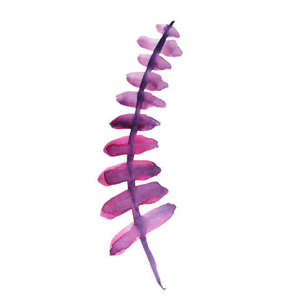 水彩粉红色和紫色抽象枝花与叶孤立在白色背景。创意手绘春夏季插图。剪纸为婚礼3月8日包装墙纸贴纸图片下载