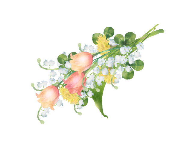 水彩郁金香与春天的花束图片下载