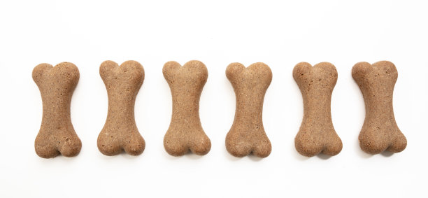 狗粮饼干形状的骨头孤立在白色背景上图片下载