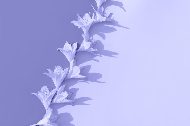 百合花布局色调的时尚色彩的2022年。时尚复古设计模板。图片下载