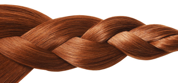 辫子，尾棕红发自然，孤立在白色背景上，美图片下载