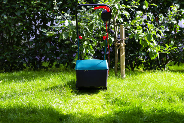 割草机的后视图图片下载