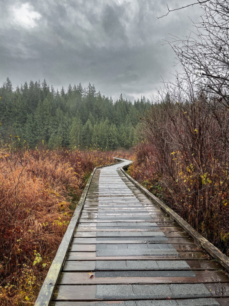 罗雷湖木板路图片下载