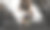 在健身房用杠铃锻炼的女人图片下载