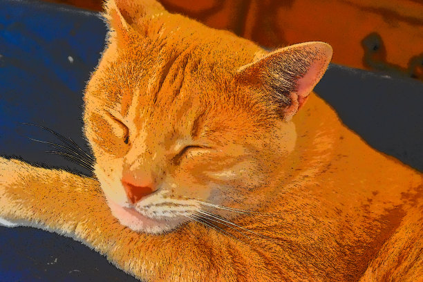 金格车在打盹图片下载