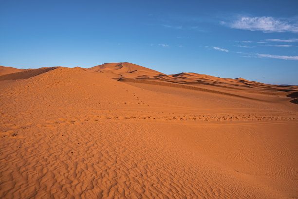 在阳光明媚的夏日里，在天空的映衬下，沙漠中沙丘的脚步声图片下载