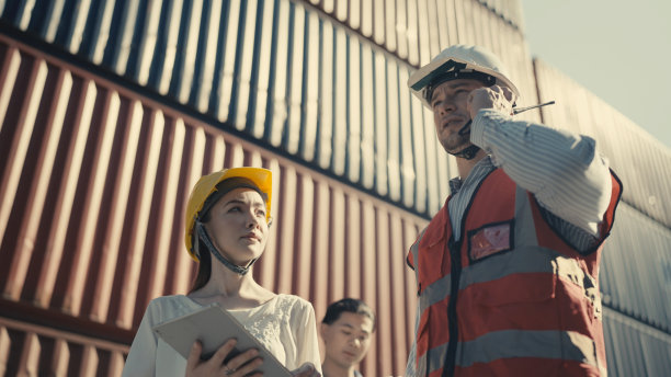 多民族工业组织检查在港口工作的集装箱。素材图片