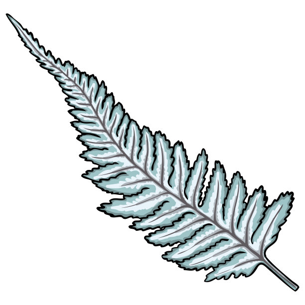 日本画的森林蕨，手工绘制的艺术叶子，由真正的天然叶子制成。用于城市景观和园林的装饰。公园森林植物，叶子和年轻的蕨类。向量。图片下载