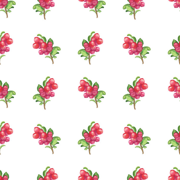 水彩越橘无缝图案在白色背景。手绘插图。非常适合纺织或印花。图片下载