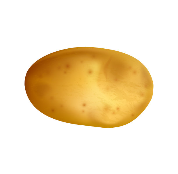 新鲜蔬菜的概念图片下载