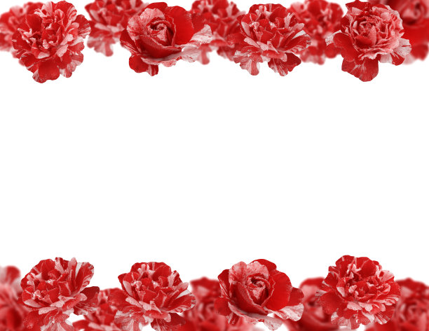 红玫瑰花镶边，便于复制。图片下载