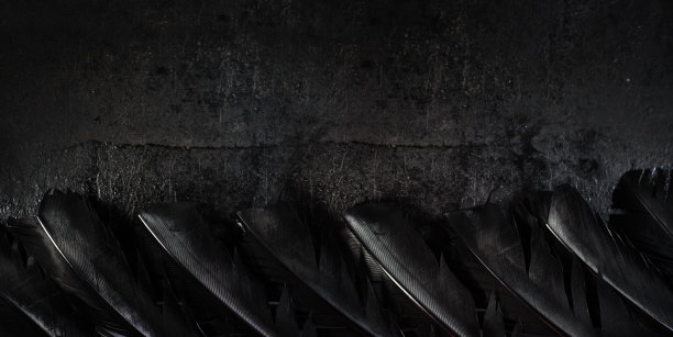 万圣节背景与黑色乌鸦羽毛边界上黑暗的grunge背景。图片下载