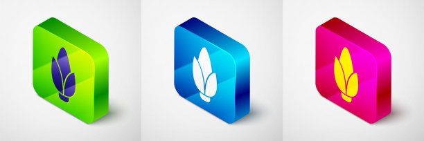 2.5D玉米图标（灰色背景，方形按钮，矢量图）图片下载