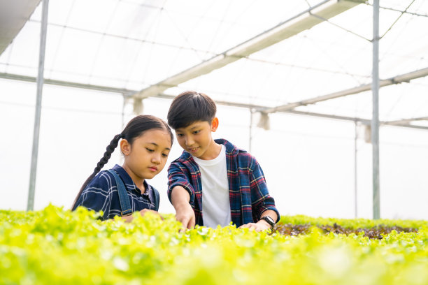 亚洲小男孩和小女孩在温室花园学习水培系统农场。图片下载