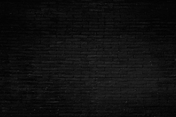 背景为黑色砖墙纹理。图片下载