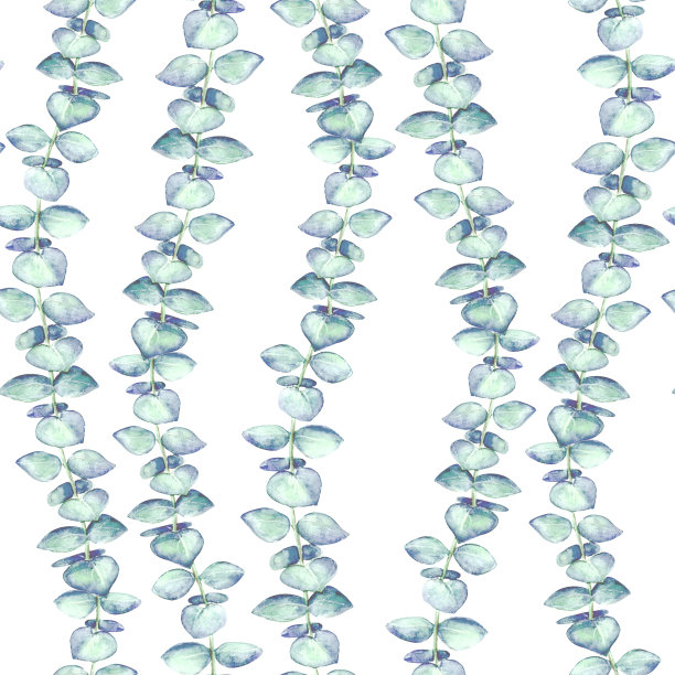 无缝的背景与水彩桉树的树枝和叶子。图片下载