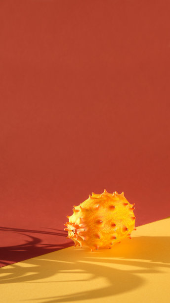 火龙果，火龙果，全尖仙人掌果特写。充满活力的红色和金黄色的彩色纸背景。阳光,长长的影子。特写单仙人掌果实图片下载